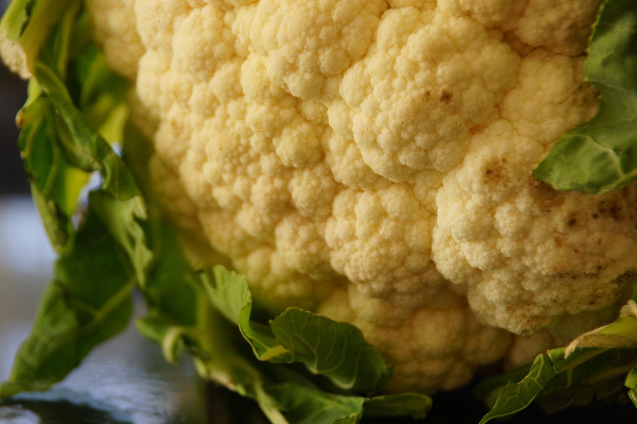 Cavolfiore al forno dorato e croccante, servito su un piatto bianco, pronto da gustare.